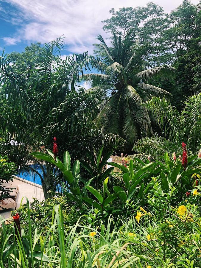 Eden Hills Residence Anse Boileau エクステリア 写真