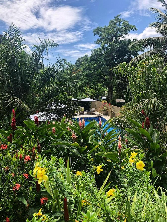 Eden Hills Residence Anse Boileau エクステリア 写真